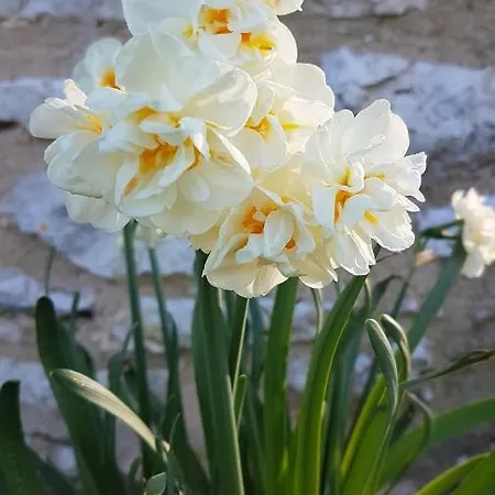 La Petite Maison Dans Le Quercy *