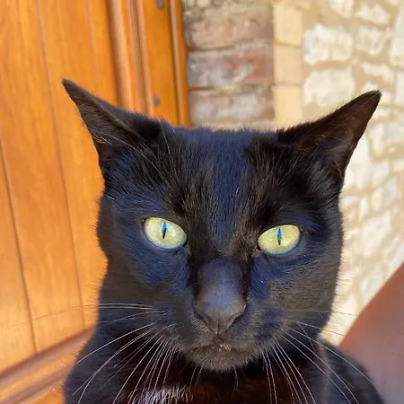 Vakantiehuis La Petite Maison Dans Le Quercy Cayriech