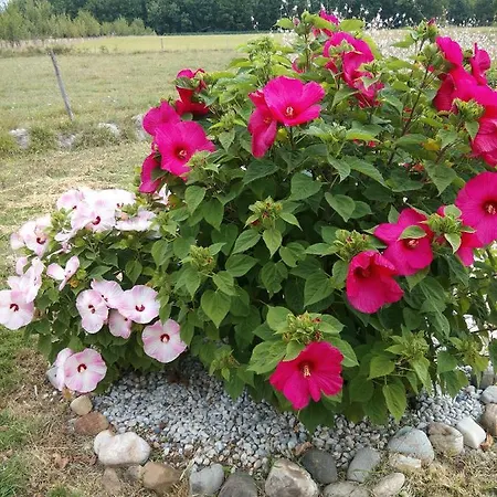 La Petite Maison Dans Le Quercy Holiday home