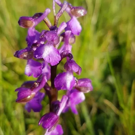 La Petite Maison Dans Le Quercy