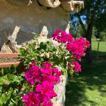 La Petite Maison Dans Le Quercy Tatil Evi Cayriech