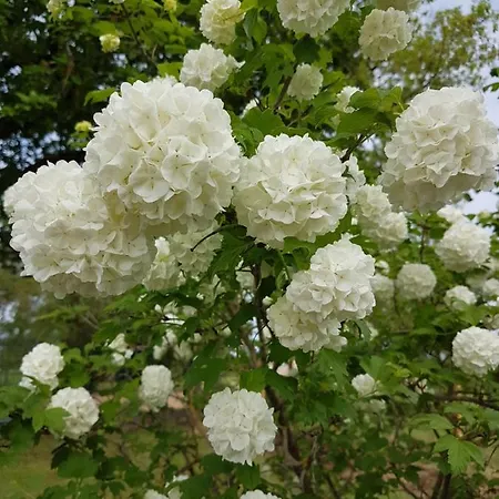 La Petite Maison Dans Le Quercy *