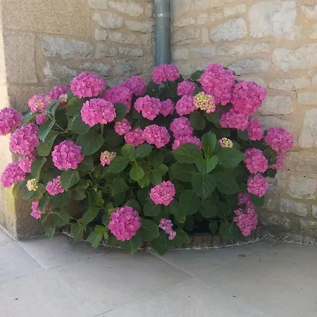 بيت للعطل La Petite Maison Dans Le Quercy *