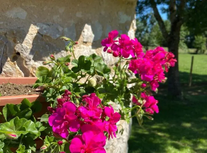 La Petite Maison Dans Le Quercy Ferienhaus Cayriech