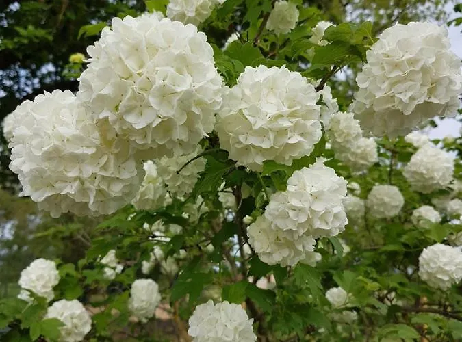 La Petite Maison Dans Le Quercy *