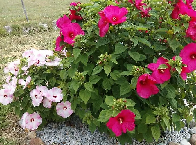 La Petite Maison Dans Le Quercy Ferienhaus