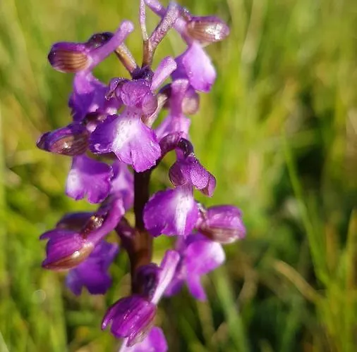 La Petite Maison Dans Le Quercy