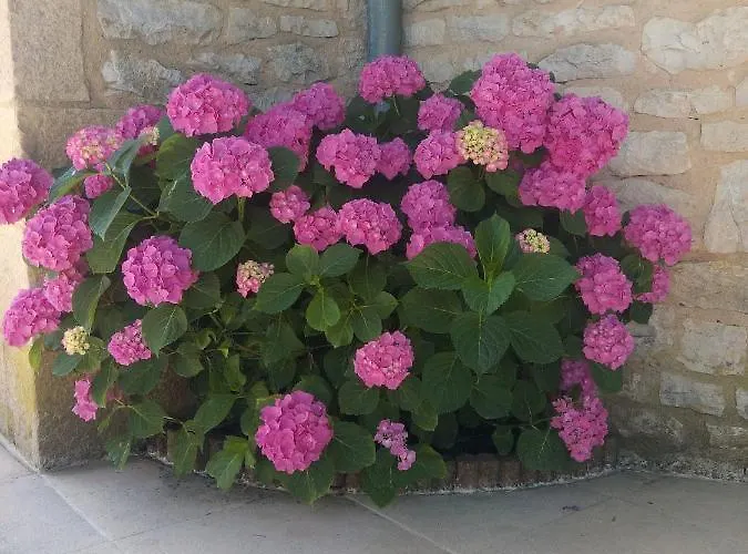 Ferienhaus La Petite Maison Dans Le Quercy *